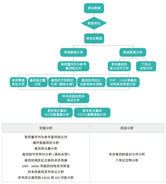转录组测序-生信分析流程（有参）-腾博会官网基因