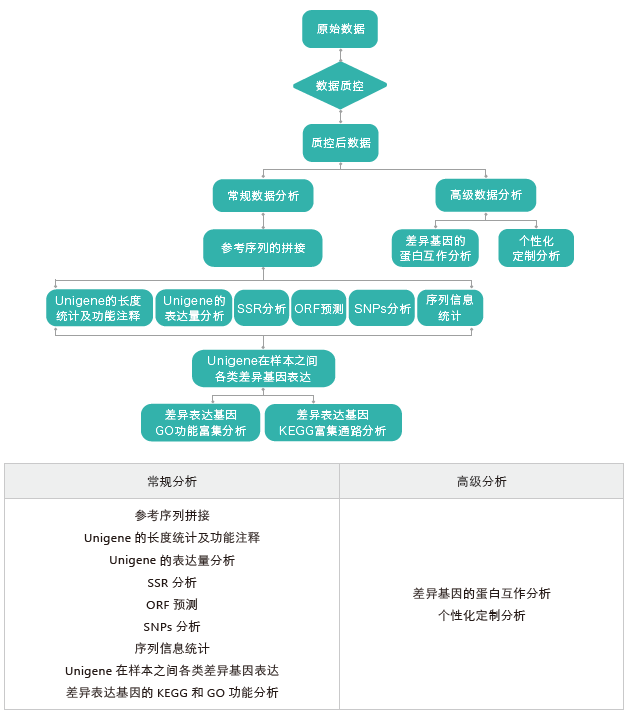 转录组测序-生信分析流程（无参）-腾博会官网基因