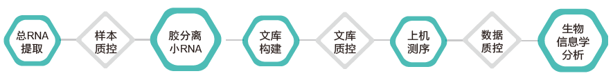 小RNA（small RNA）测序-技术路线-腾博会官网基因
